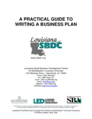 Guide to Write Business Plan Template