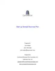 Start Up Small Business Plan Template