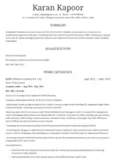 Chartered Accountant Resume PDF Template