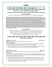 Example of Account Manager Resume Template