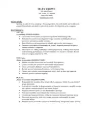 Junior Accountant Resume PDF Template