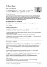 Key Account Manager Resume Template