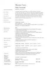 Free Download PDF Books, Sales Associate Experience Resume Template