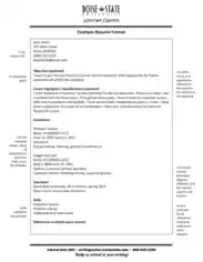 Basic Resume Format Example Template