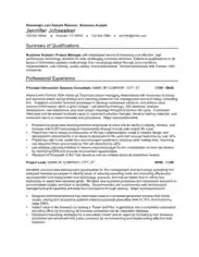 Business Analyst Resume Example Template