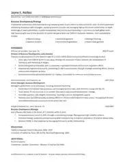 Free Download PDF Books, Business Development Strategy Resume Template