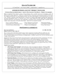 Business Project Manager Resume Template