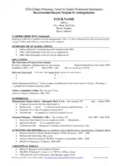 Free Download PDF Books, Professional Business Resume Example Template