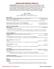 Resume Format Business Example Template