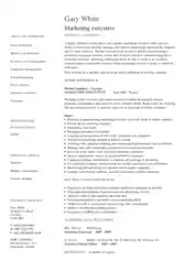 Free Download PDF Books, Experienced Marketing Executive Resume Template