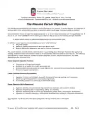 Free Download PDF Books, The Resume Career Objective Template