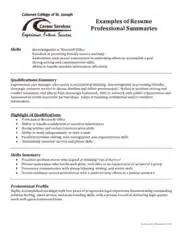 Job Summary Example For Resume Template