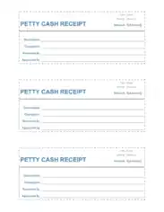 Free Download PDF Books, Petty Cash Receipt Sample Template