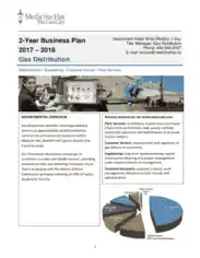 Free Download PDF Books, Gas Distribution Business Plan Template