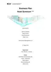 Free Download PDF Books, Hotel Business Plan Sample Template
