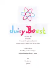 Free Download PDF Books, Juicy Boost Business Plan Sample Template