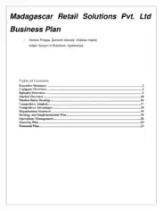 Retail Business Plan Sample Template