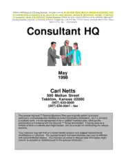 Consultant HQ Business Plan In Free Template