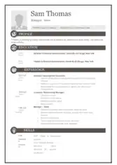 Free Download PDF Books, Free Sale Manager Resume Template