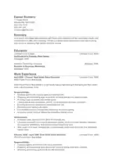 Resume of Sales Executive in Real Estate Template