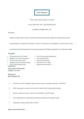 Sales Account Executive Resume Template