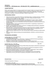 Sales Experience Resume Format Template