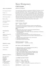 CEO Skills Resume Example Template