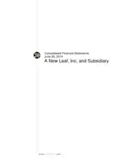 Free Download PDF Books, Consolidated Financial Statement Template