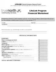 Lifelink Financial Worksheet Template