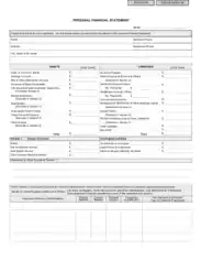 Personal Financial Summary Sample Template