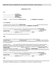 Vendor Agreement Termination Sample Letter Template