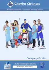 Free Download PDF Books, Housekeeping Company Profile Sample Template