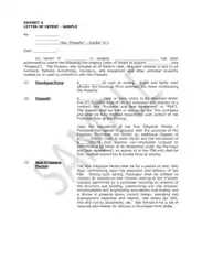 Free Download PDF Books, Sample Letter of Intent Form for Purchase Template