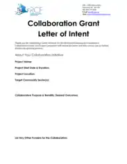 Charity Collaboration Grant Letter of Intent Template