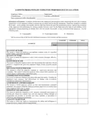 Employee Probationary Evaluation Form Example Template