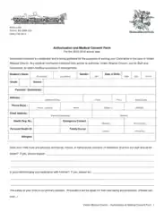 Authorization And Medical Consent Form Template