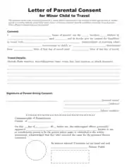 Child Travel Medical Consent Letter Form Template