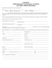 Consent for Medical Surgical Care Emergency Treatment and Childs Medical Information Template