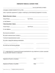 Free Download PDF Books, Emergency Medical Consent Form Template