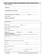 Medical Consent Form Example Template