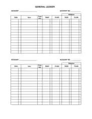 Free Download PDF Books, Sample Account Ledger Template