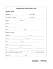 Employment Authorization Form Template