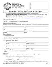 Charitable Organization Annual Registration Template