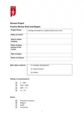Charity Review Project Strategic Plan Template