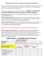 Charity Sample Project Budget Template